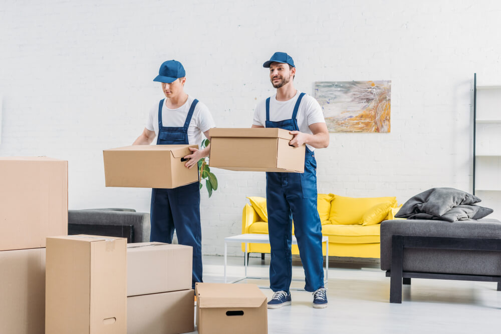 Expert movers securing fragile items for transport